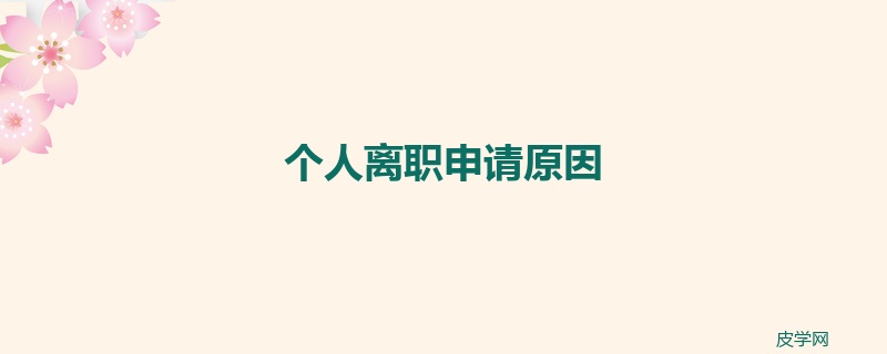 个人离职申请原因