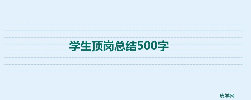 学生顶岗总结500字