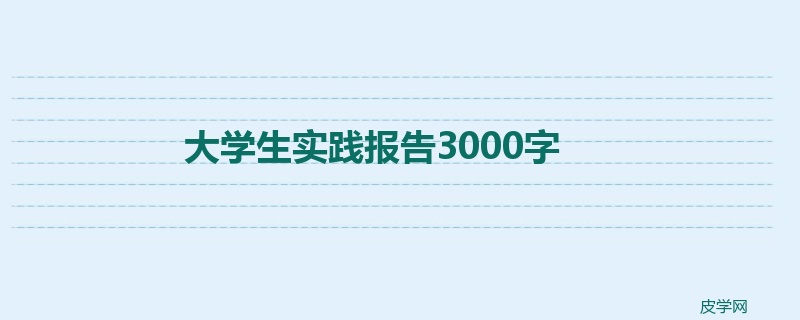 大学生实践报告3000字