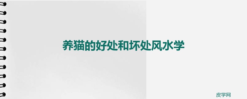 养猫的好处和坏处风水学