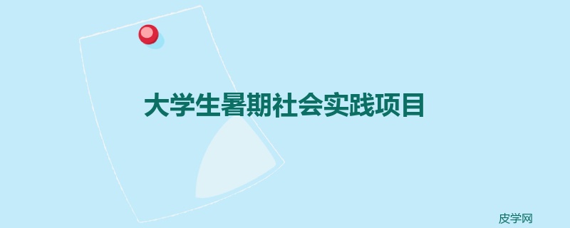 大学生暑期社会实践项目