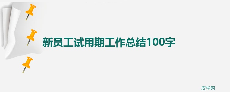 新员工试用期工作总结100字