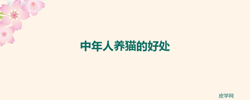中年人养猫的好处