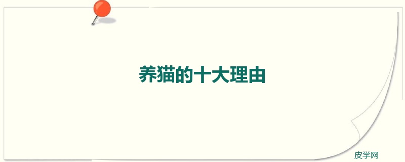 养猫的十大理由