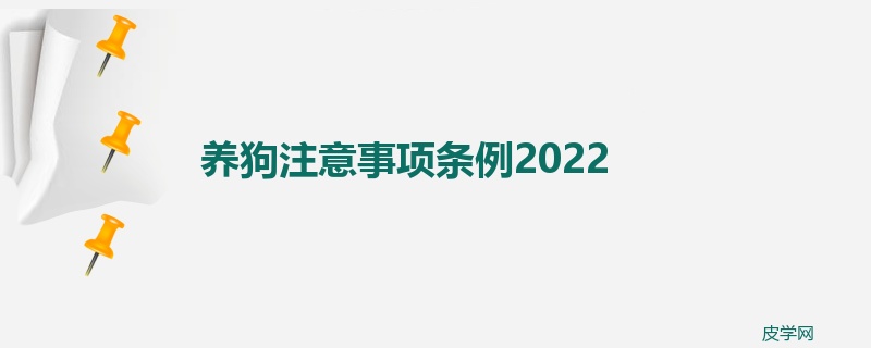 养狗注意事项条例2022