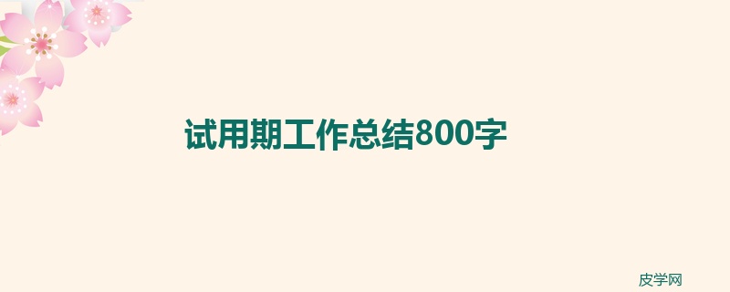 试用期工作总结800字