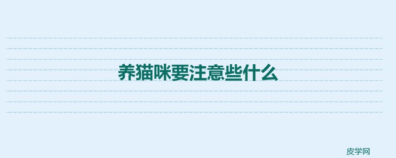 养猫咪要注意些什么
