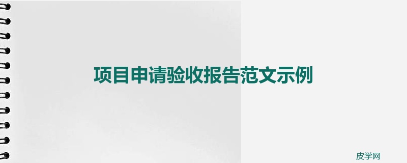 项目申请验收报告范文示例