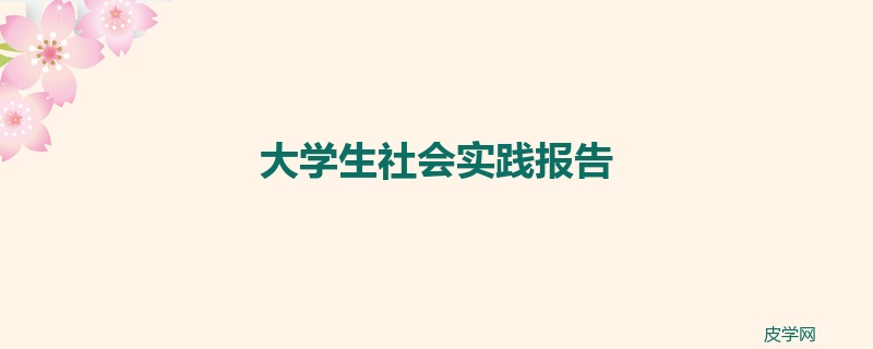 大学生社会实践报告