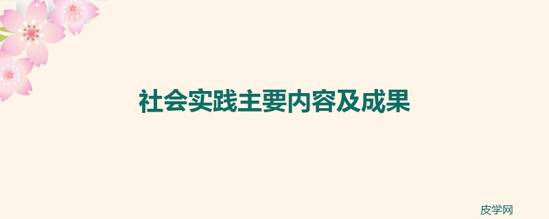 社会实践主要内容及成果