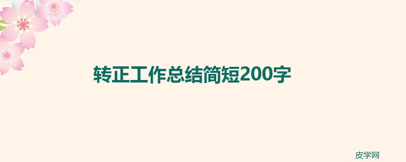 转正工作总结简短200字