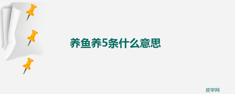 养鱼养5条什么意思