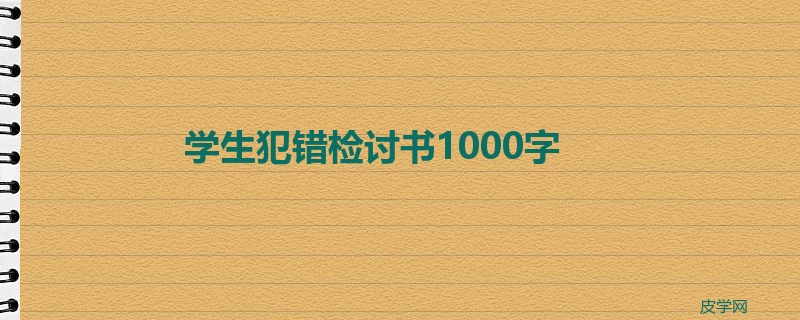 学生犯错检讨书1000字