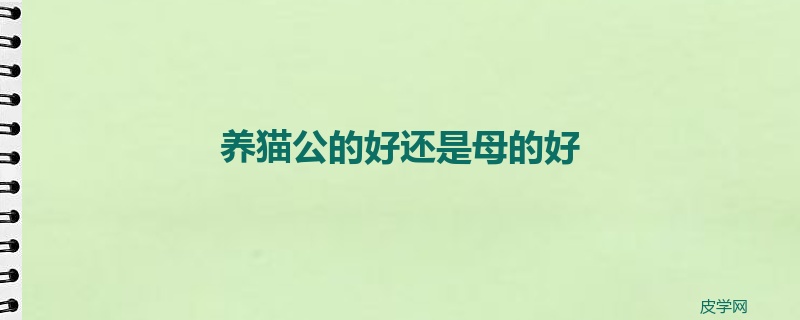 养猫公的好还是母的好