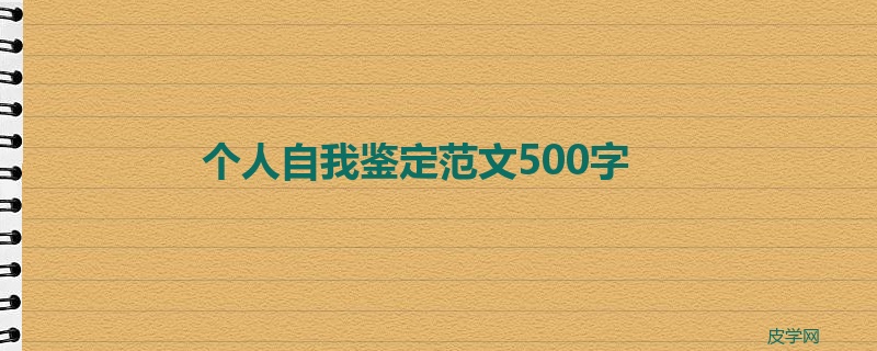 个人自我鉴定范文500字