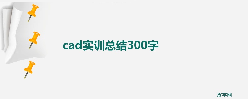 cad实训总结300字