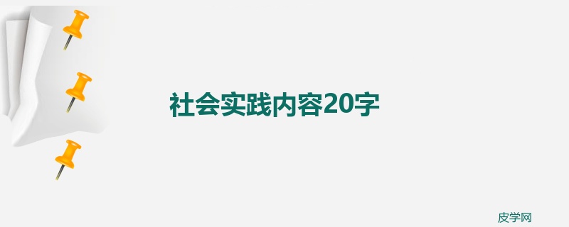 社会实践内容20字