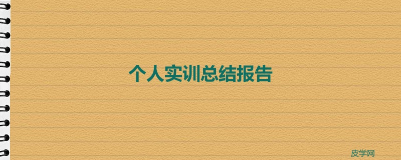 个人实训总结报告
