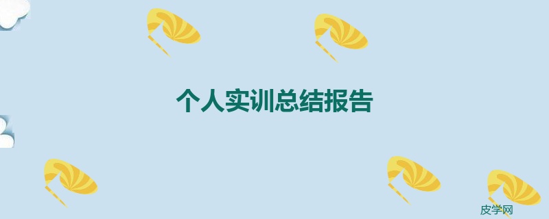 个人实训总结报告