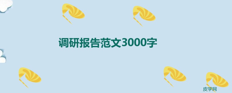 调研报告范文3000字