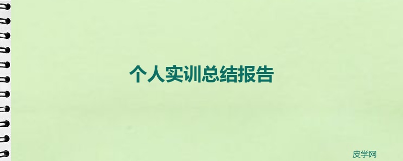 个人实训总结报告
