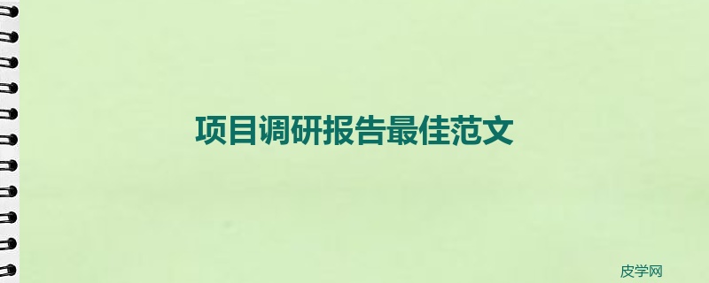 项目调研报告最佳范文