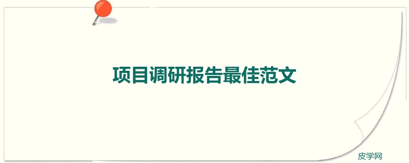 项目调研报告最佳范文