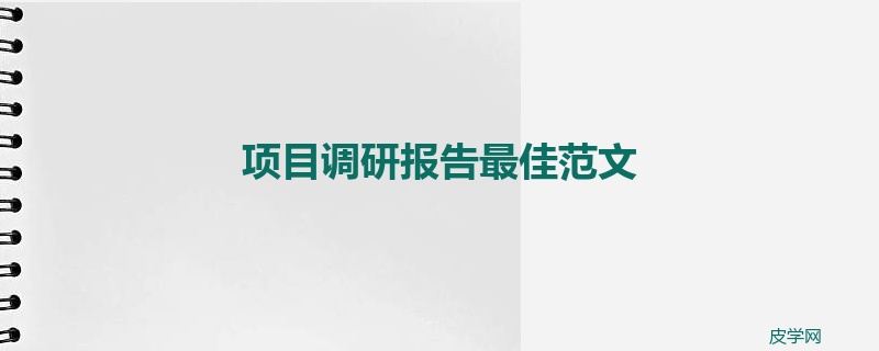 项目调研报告最佳范文