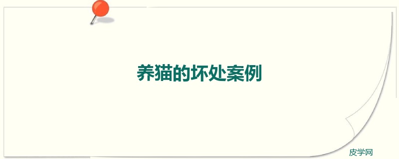 养猫的坏处案例
