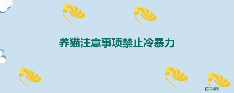 养猫注意事项禁止冷暴力