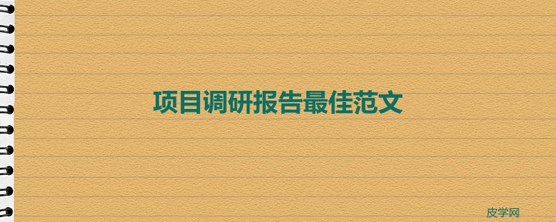 项目调研报告最佳范文