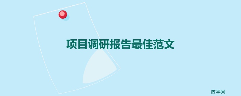 项目调研报告最佳范文