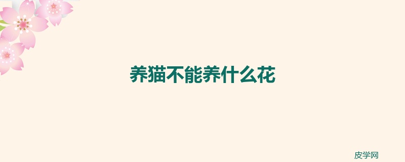 养猫不能养什么花