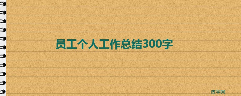 员工个人工作总结300字