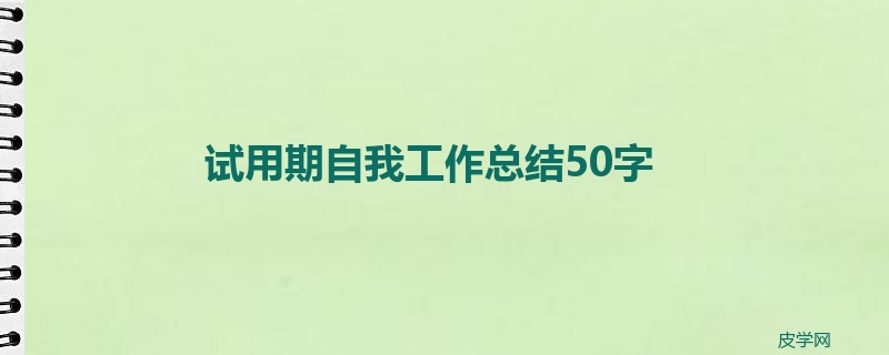 试用期自我工作总结50字