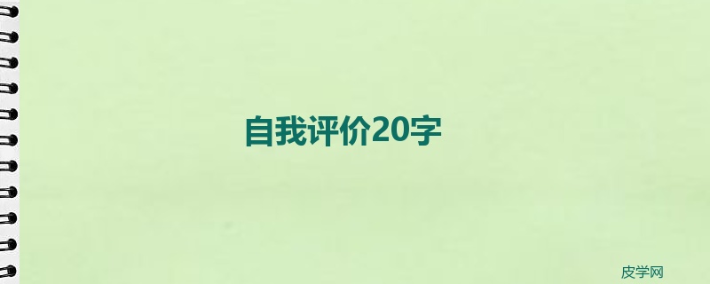 自我评价20字