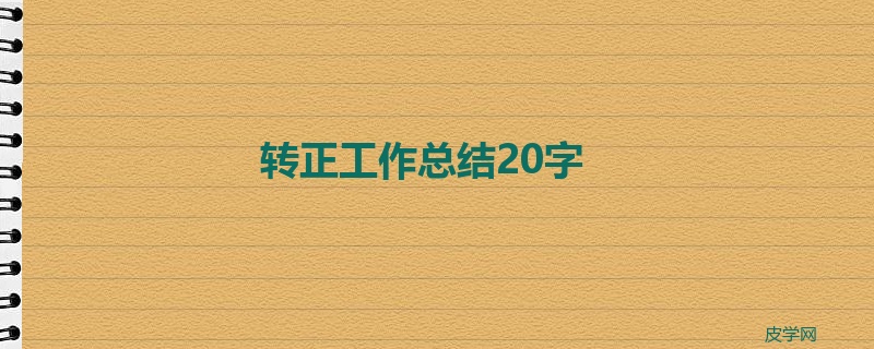 转正工作总结20字