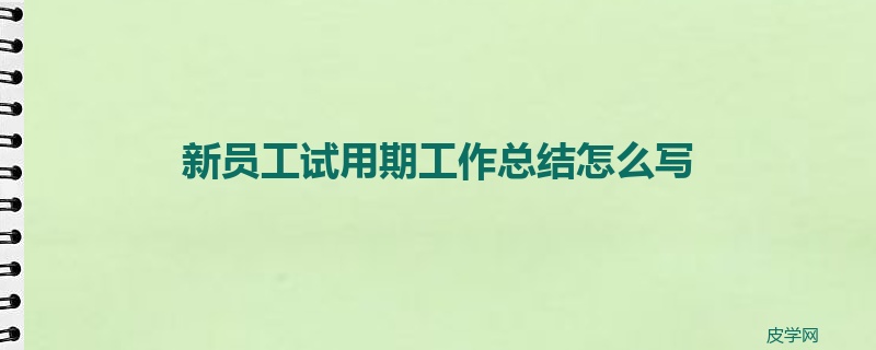 新员工试用期工作总结怎么写