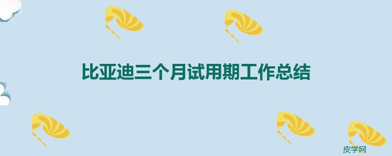 比亚迪三个月试用期工作总结