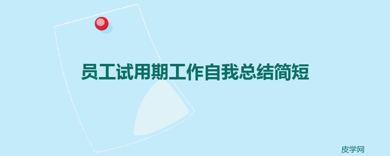 员工试用期工作自我总结简短