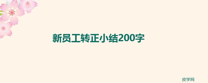 新员工转正小结200字