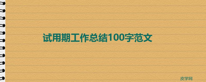 试用期工作总结100字范文