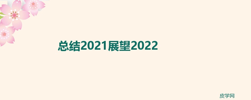 总结2021展望2022