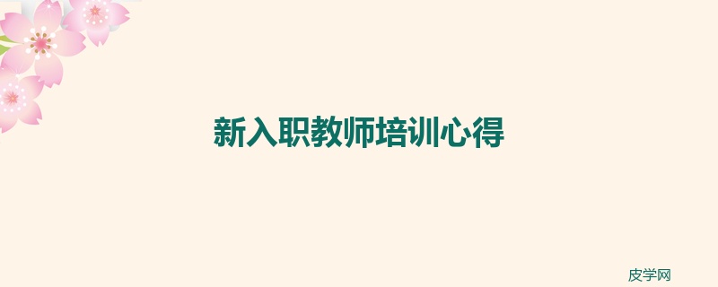 新入职教师培训心得