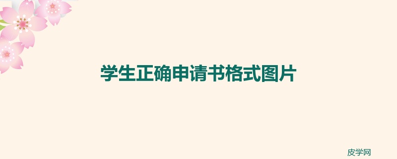 学生正确申请书格式图片