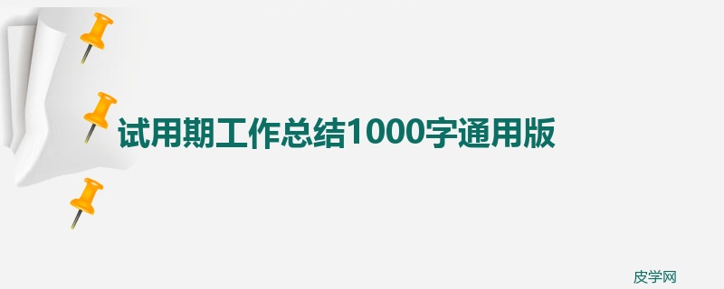 试用期工作总结1000字通用版