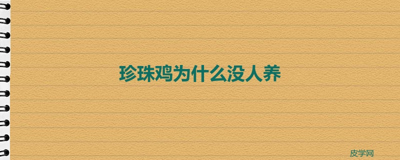 珍珠鸡为什么没人养