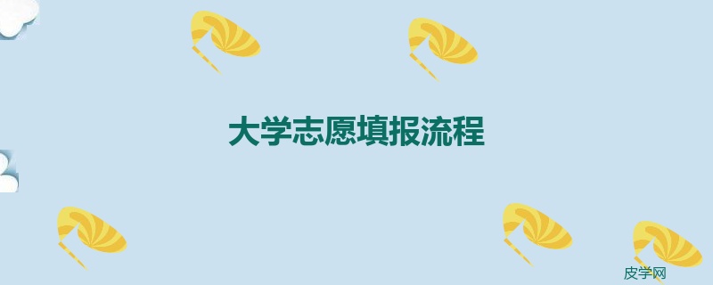 大学志愿填报流程