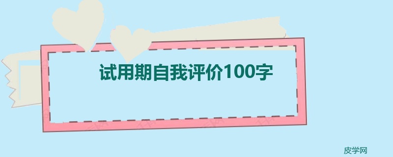 试用期自我评价100字