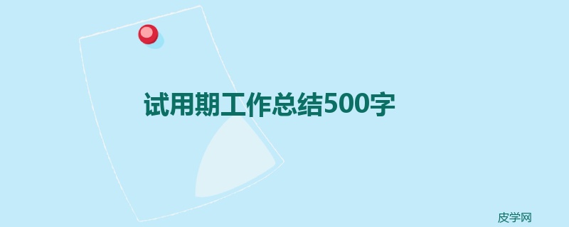 试用期工作总结500字